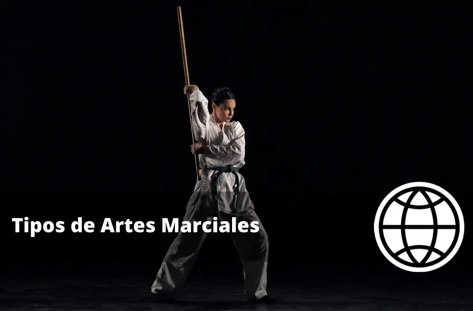 Tipos de Artes Marciales