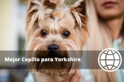 Mejor Cepillo para Yorkshire