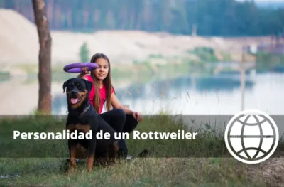 Personalidad de un Rottweiler