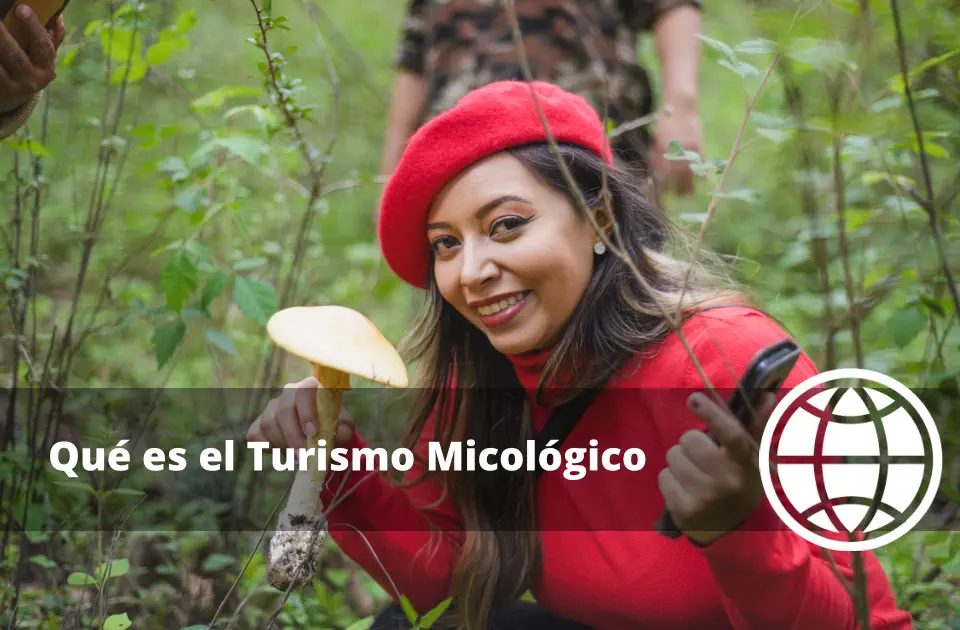 Qué es el Turismo Micológico y Ejemplos