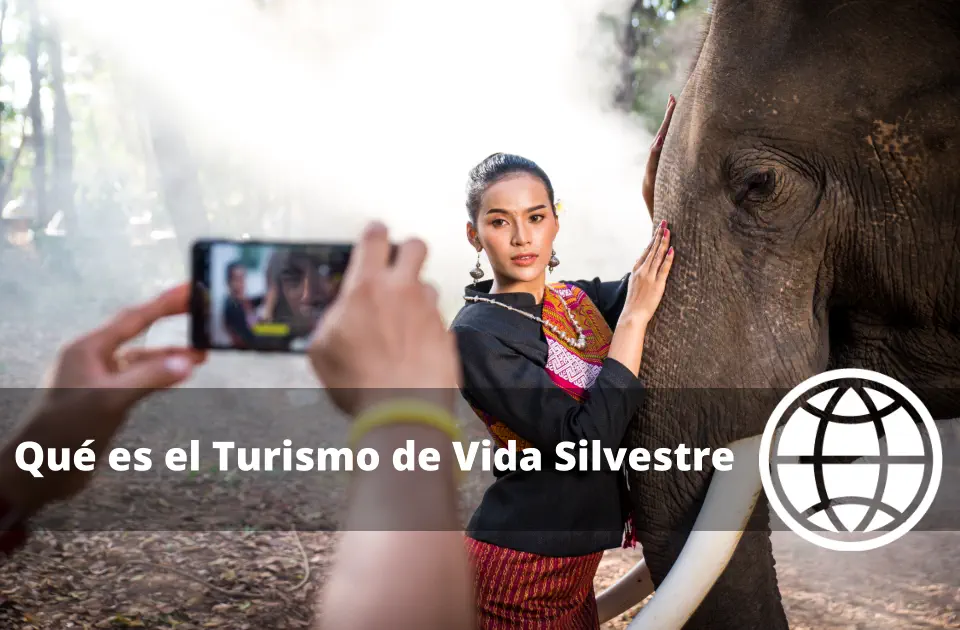 Qué es el Turismo de Vida Silvestre