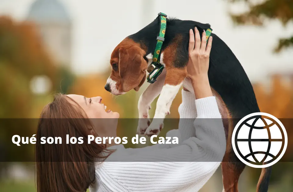 Qué son los Perros de Caza