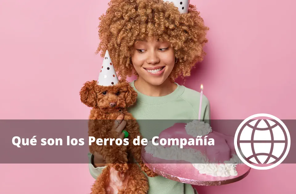 Qué son los Perros de Compañía