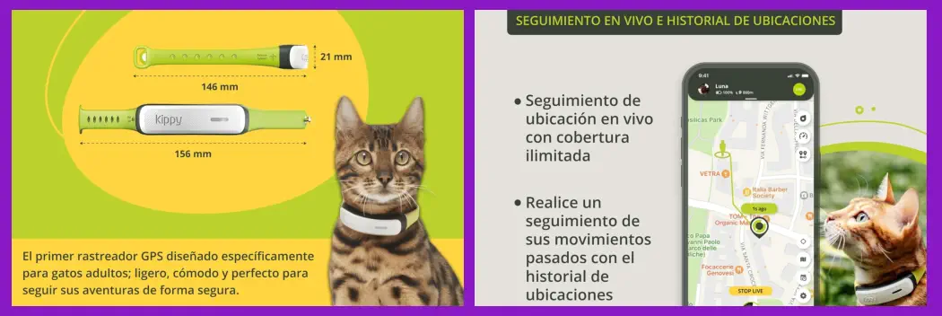 Collares GPS para Gatos