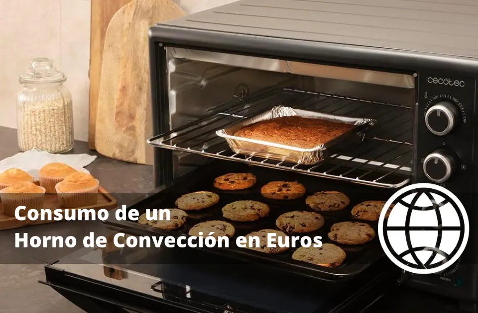 Consumo de un Horno de Convección en Euros
