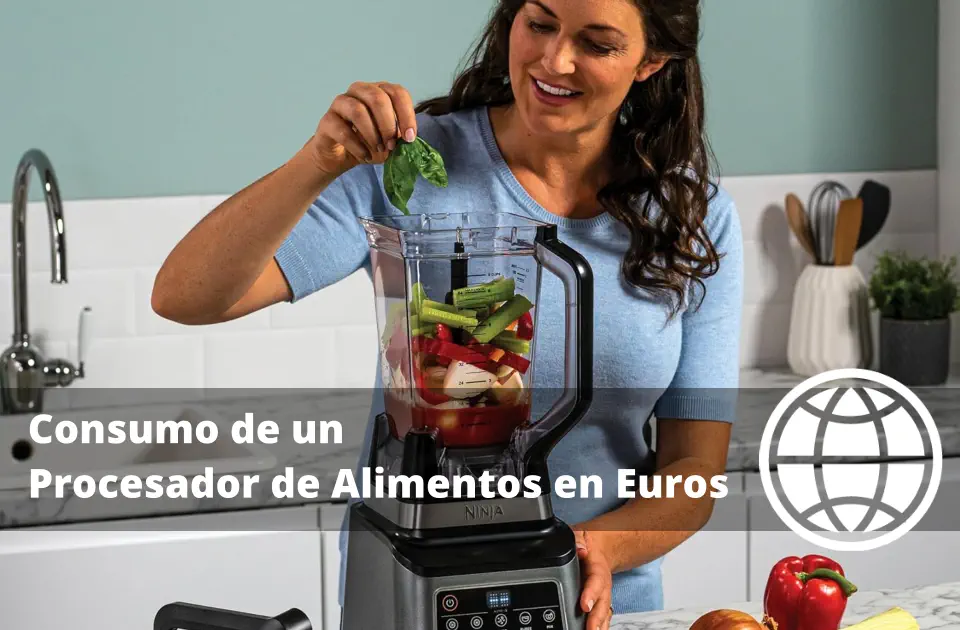 Consumo de un Procesador de Alimentos en Euros