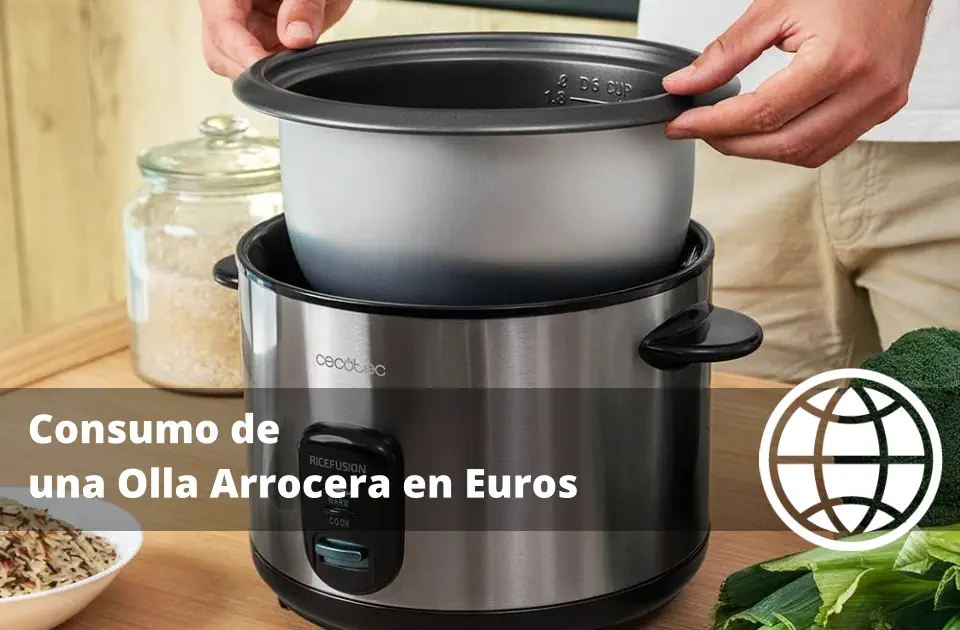 Consumo de una Olla Arrocera en Euros