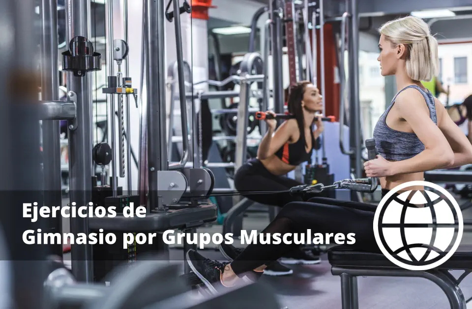 Ejercicios de Gimnasio por Grupos Musculares