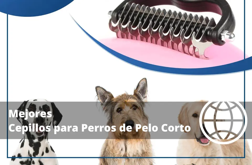 Mejores Cepillos para Perros de Pelo Corto