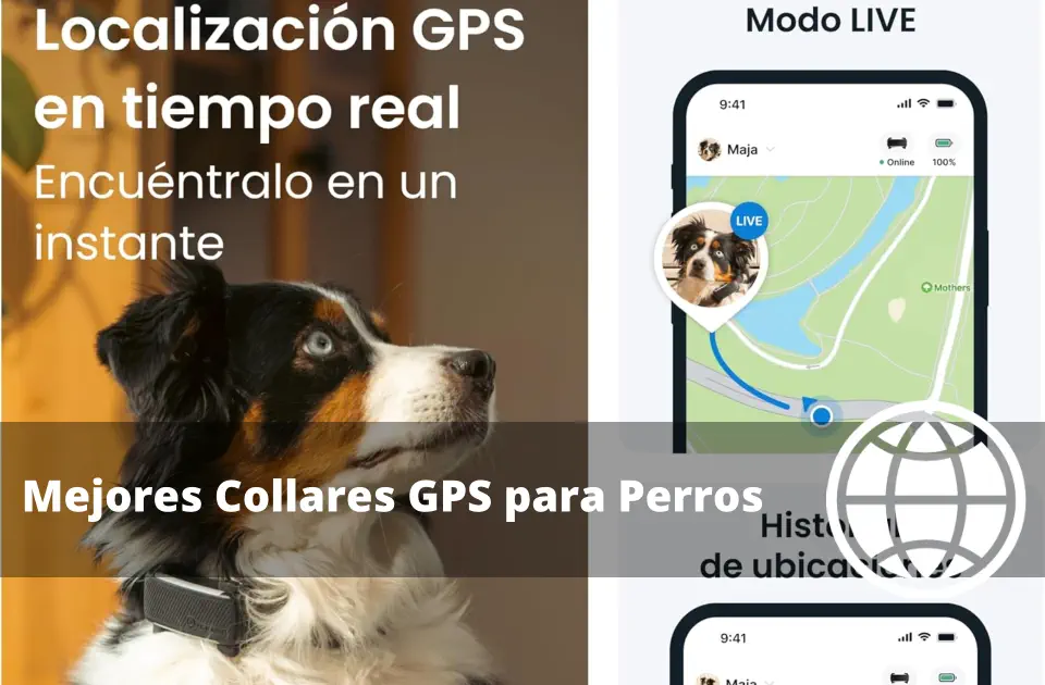 Mejores Collares GPS para Perros