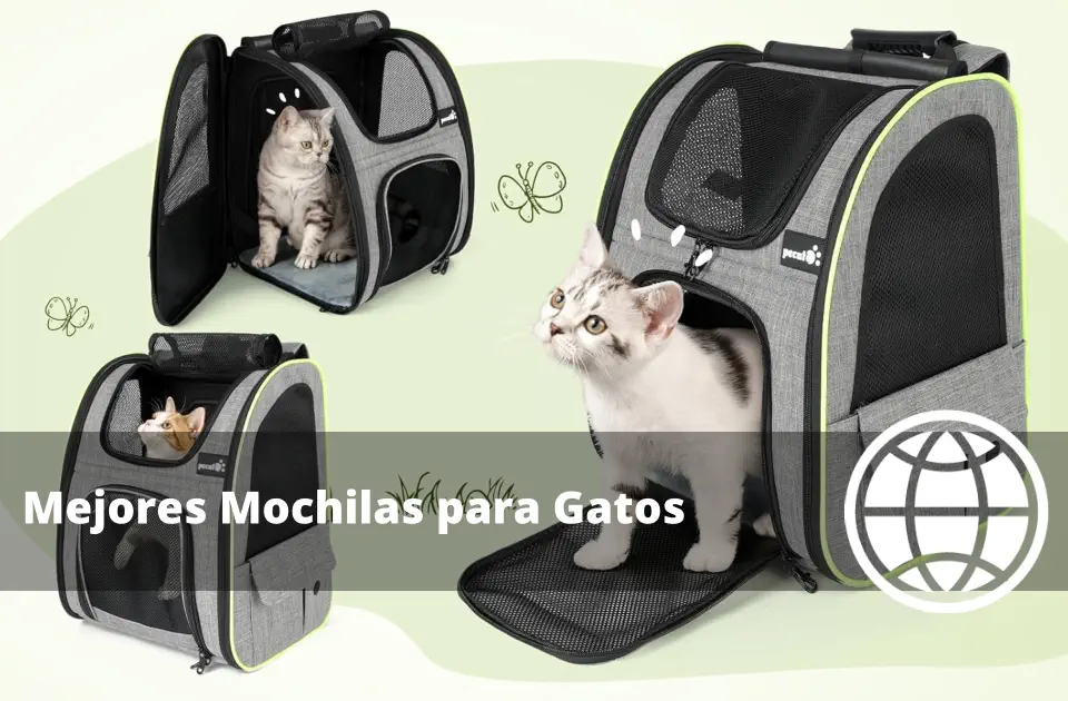 Mejores Mochilas para Gatos y Opiniones de Transporte