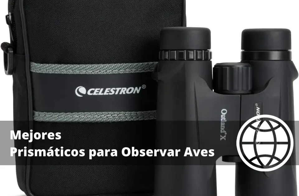 Mejores Prismáticos para Observar Aves