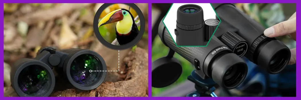 Prismáticos para Observar Aves