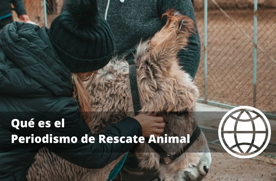 Qué es el Periodismo de Rescate Animal