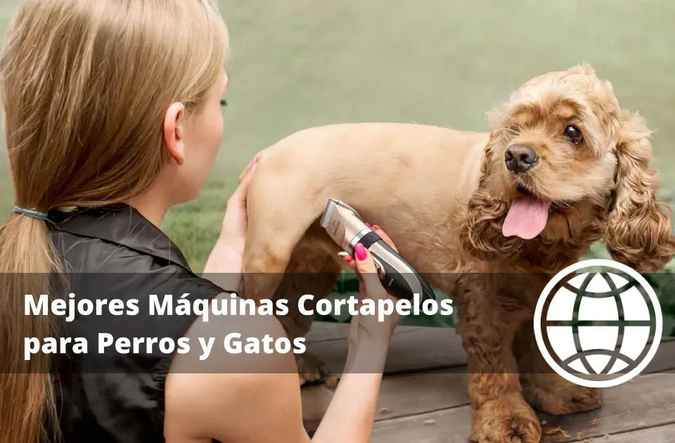 Mejores Máquinas Cortapelos para Perros y Gatos