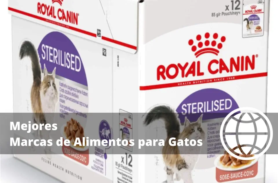 Mejores Marcas de Alimentos para Gatos