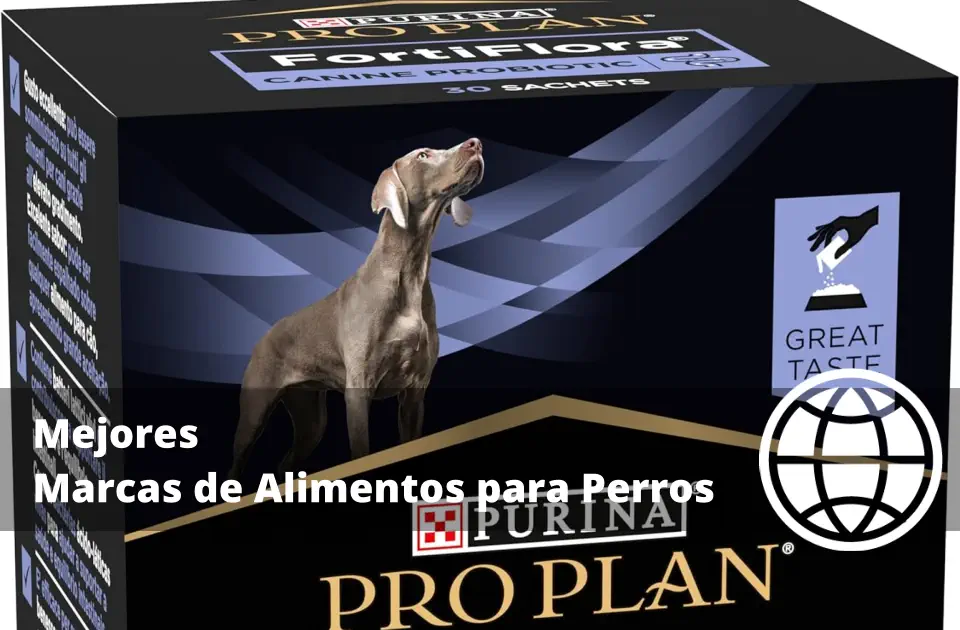 Mejores Marcas de Alimentos para Perros