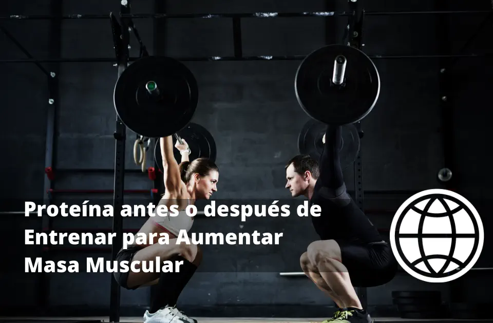 Proteína antes o después de Entrenar para Aumentar Masa Muscular