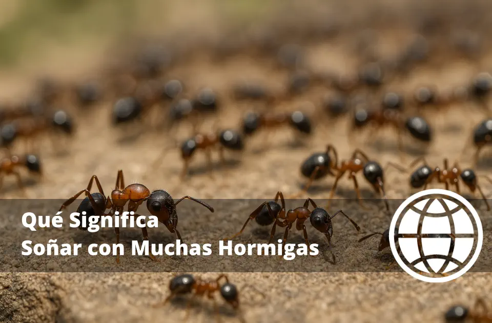 Qué Significa Soñar con Muchas Hormigas