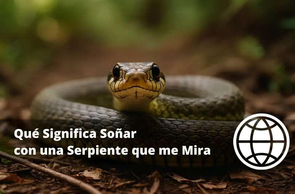 Qué Significa Soñar con una Serpiente que me Mira