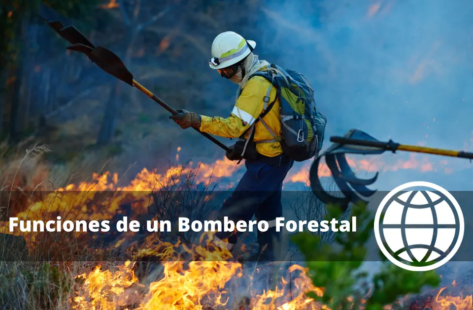 Funciones de un Bombero Forestal