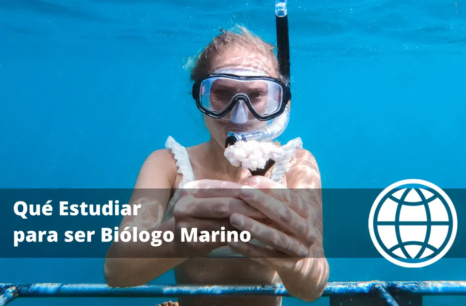 Qué Estudiar para ser Biólogo Marino