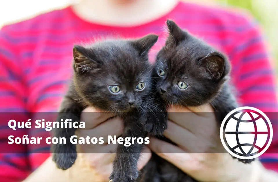 Qué Significa Soñar con Gatos Negros