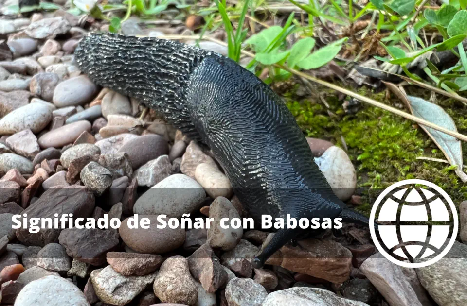 Significado de Soñar con Babosas
