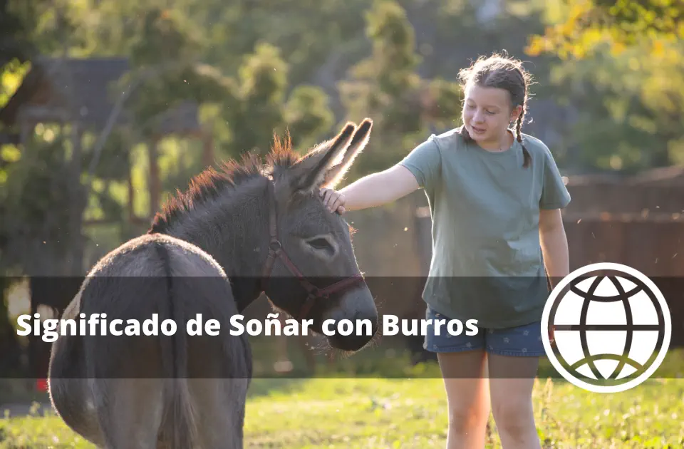 Significado de Soñar con Burros