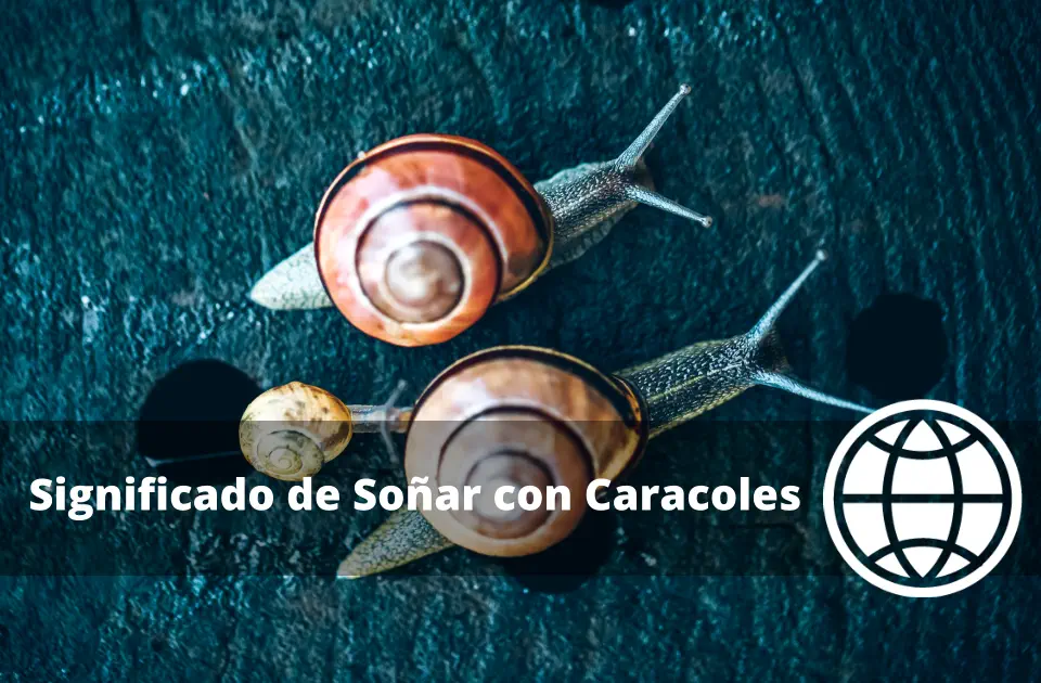 Significado de Soñar con Caracoles
