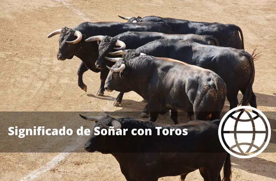 Significado de Soñar con Toros