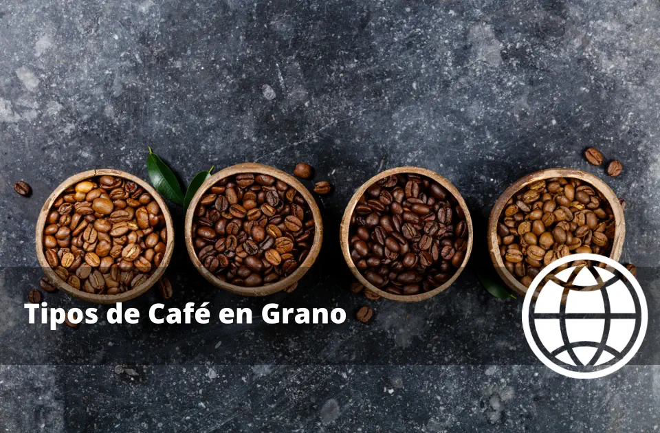 Tipos de Café en Grano