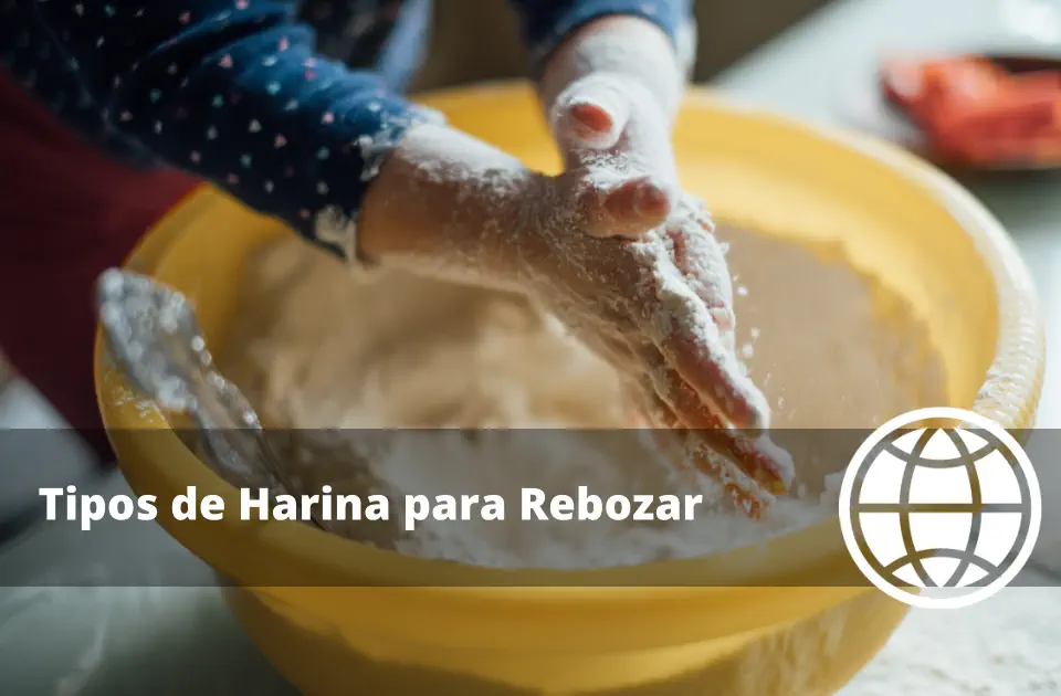 Tipos de Harina para Rebozar