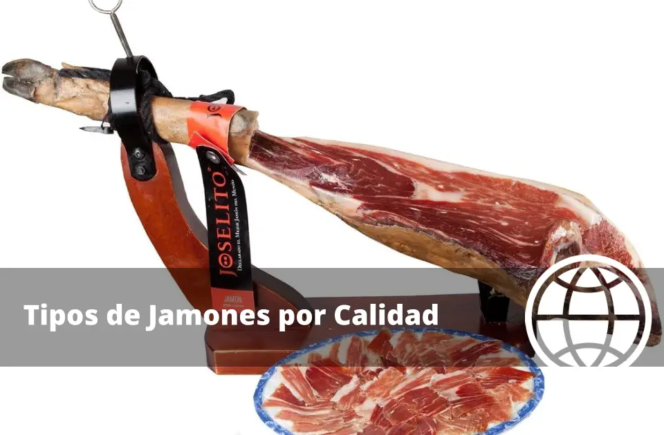 Tipos de Jamones por Calidad