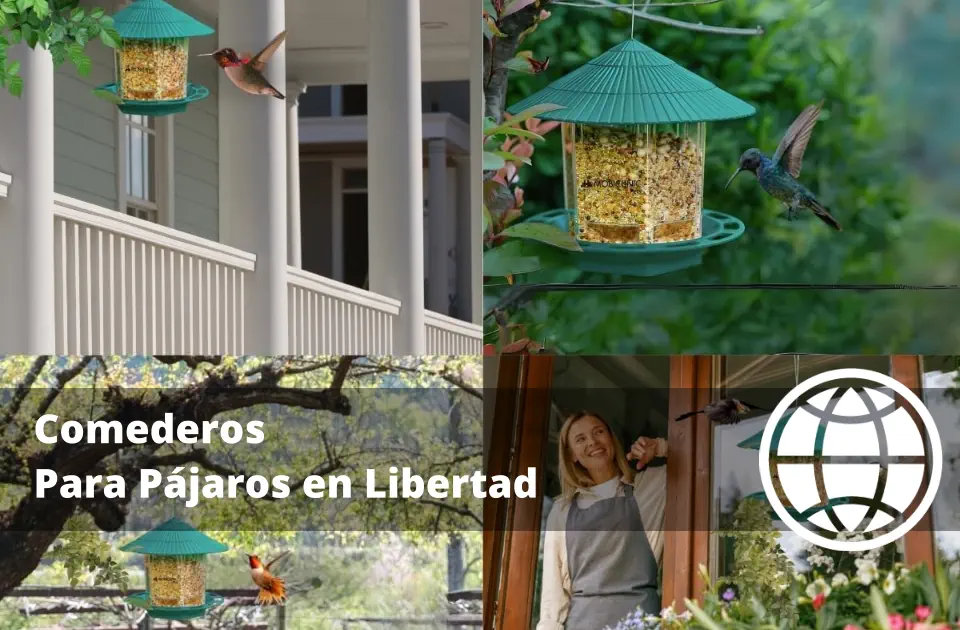 Comederos Para Pájaros en Libertad