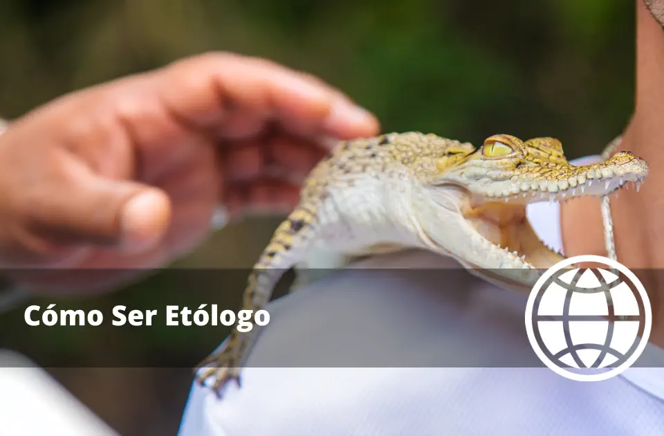 Cómo Ser Etólogo