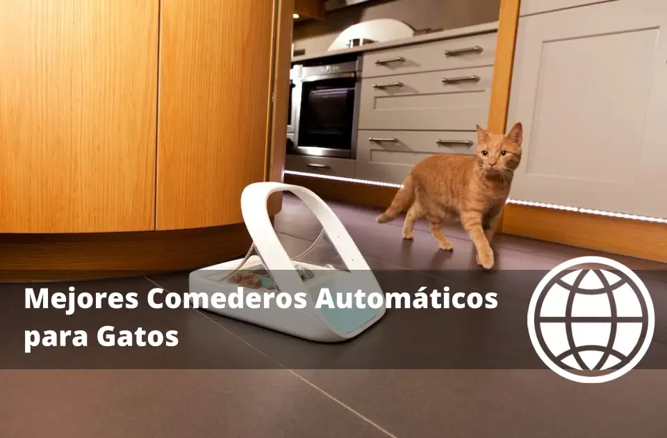 Mejores Comederos Automáticos para Gatos