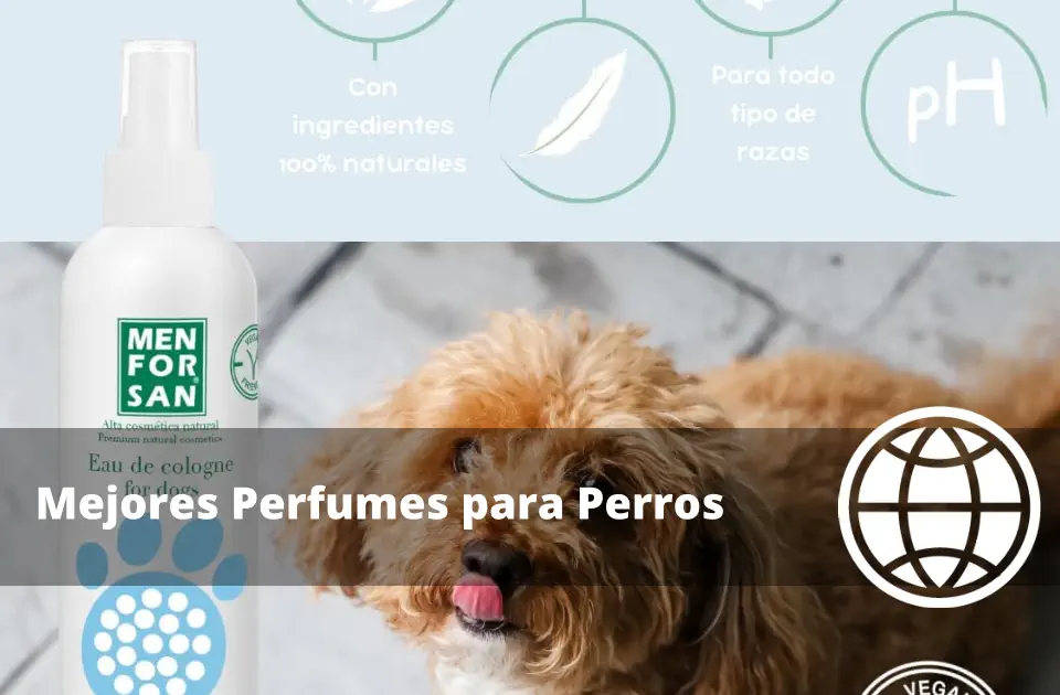 Mejores Perfumes para Perros