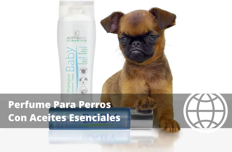 Perfume Para Perros Con Aceites Esenciales