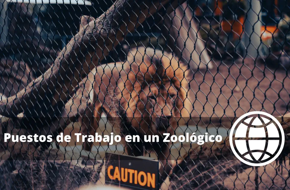 Puestos de Trabajo en un Zoológico