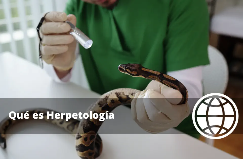 Qué es Herpetología