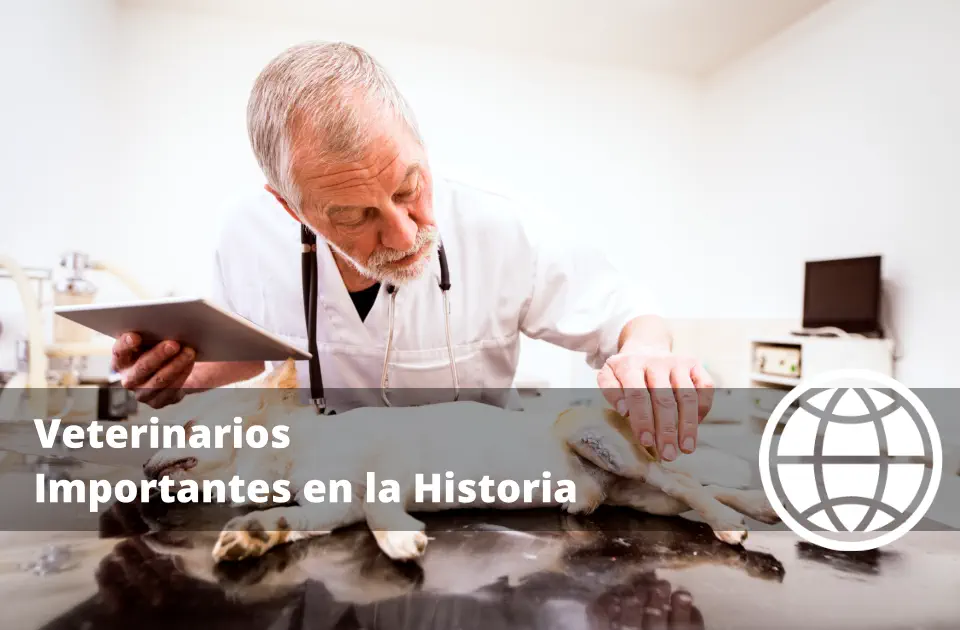Veterinarios Importantes en la Historia