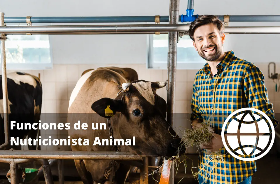 Funciones de un Nutricionista Animal