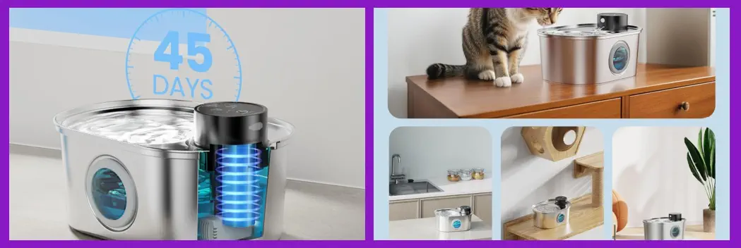 Ideas de Regalos para Mascotas en su Cumpleaños