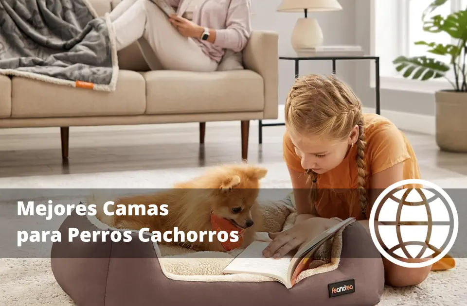 Mejores Camas para Perros Cachorros