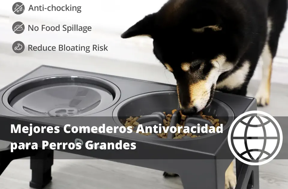 Mejores Comederos Antivoracidad para Perros Grandes