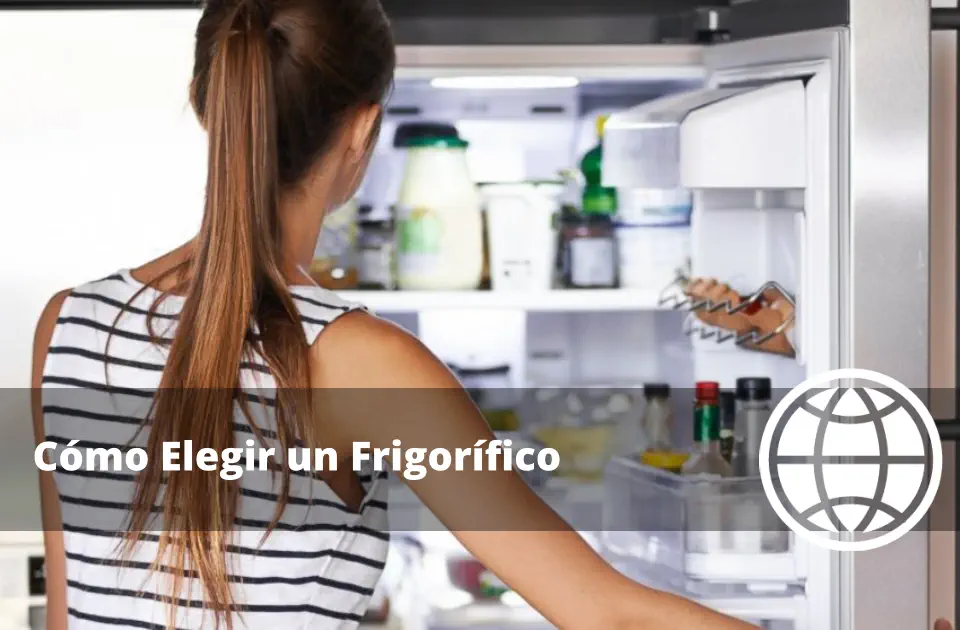 Cómo Elegir un Frigorífico No Frost Combinados y Side by Side Explicados