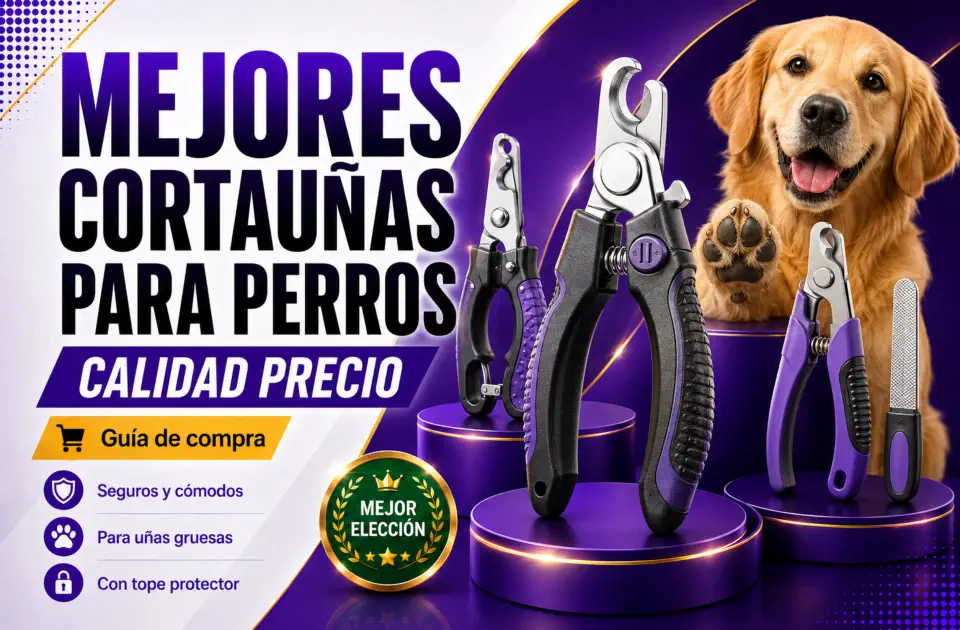 Mejores cortauñas para perros: guía calidad-precio para cortar uñas con seguridad