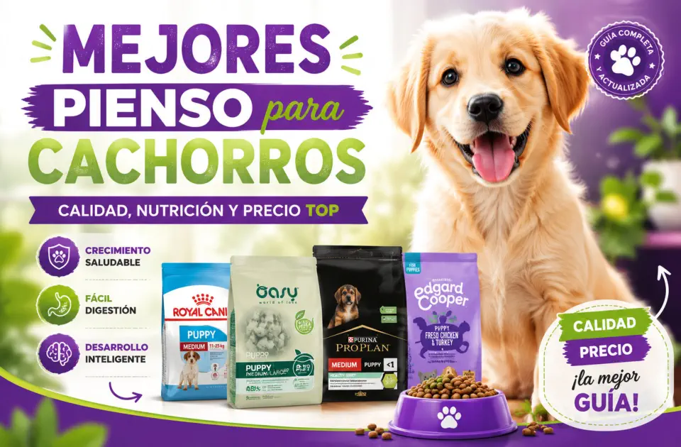 Mejores pienso para perros cachorros: guía premium para elegir bien desde el primer saco