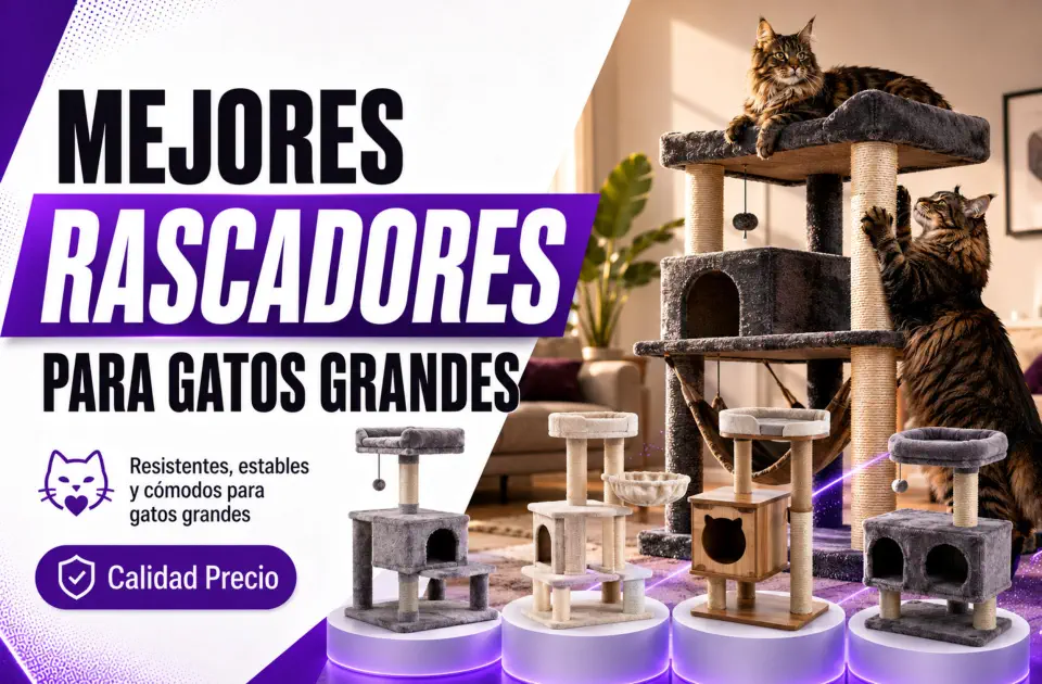 Mejores rascadores para gatos grandes: guía premium para acertar